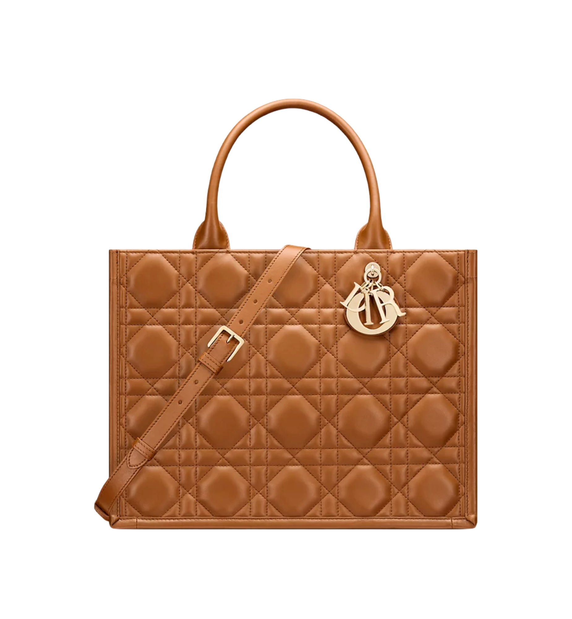 Untitled (12) Medium Dior Book Tote – תמונה 1