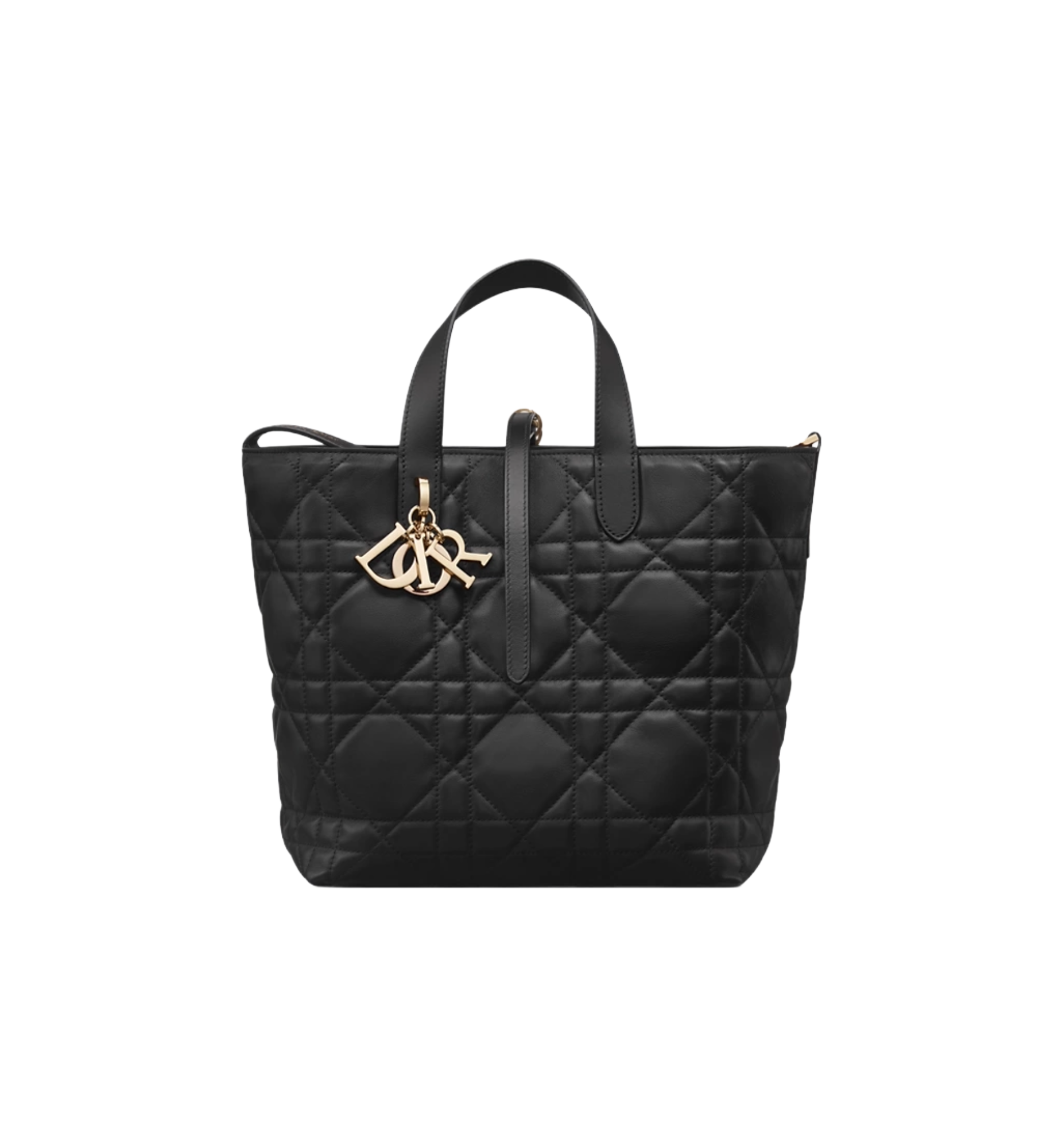 Untitled (20) Medium Dior Toujours Vertical Tote Bag – תמונה 1