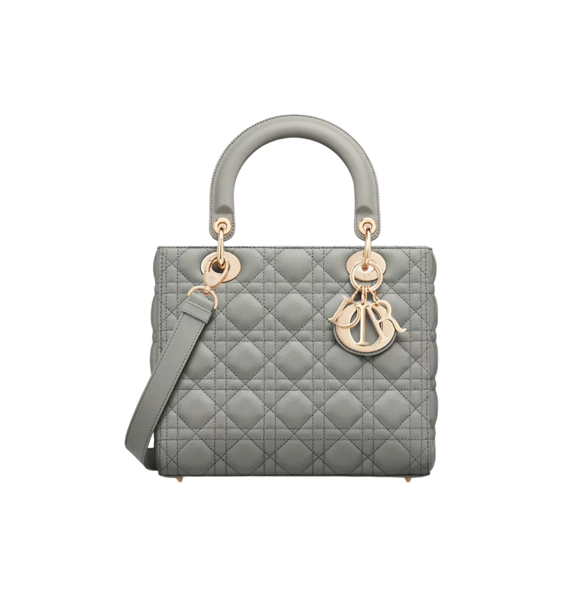 Untitled (26) Medium Lady Dior Bag – תמונה 1